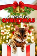 Watch A Bengal for Christmas Vodly