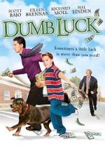 Watch Dumb Luck Vodly