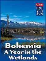 Watch Bohemia: A Year in the Wetlands Vodly