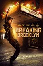 Watch Breaking Brooklyn Vodly