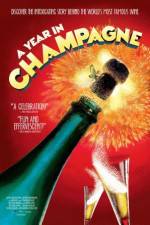 Watch A Year in Champagne Vodly