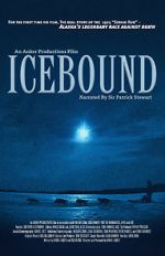 Watch Icebound Vodly
