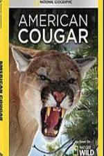 Watch National Geographic - American Cougar Vodly