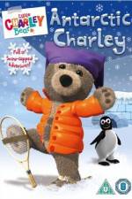 Watch Little Charley Bear - Antarctic Charley Vodly