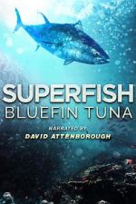 Watch Superfish Bluefin Tuna Vodly