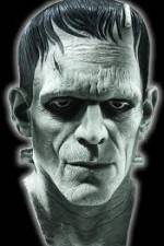 Watch Frankenstein Birth of a Monster Vodly