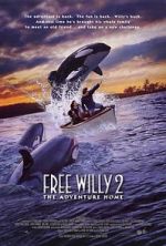 Watch Free Willy 2: The Adventure Home Vodly