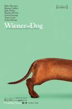 Watch Wiener-Dog Vodly