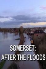 Watch Somerset: After the Floods Vodly