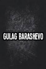 Watch Gulag Barashevo Vodly