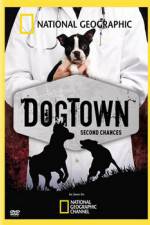 Watch National Geographic DogTown Vodly