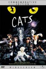 Watch Great Performances Cats Vodly