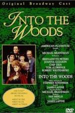 Watch Into the Woods Vodly