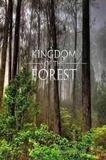 Watch National Geographic Kingdom of the Forest Vodly