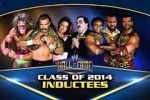 Watch WWE Hall of Fame Vodly