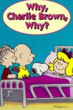 Watch Why Charlie Brown Why Vodly