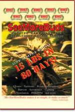 Watch SeeMoreBuds: Vol. 1 Vodly