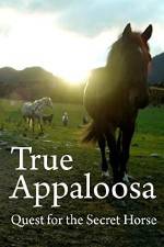 Watch True Appaloosa Vodly