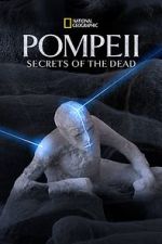 Watch Pompeii: Secrets of the Dead (TV Special 2019) Vodly