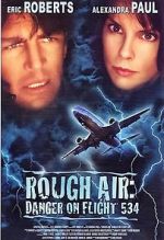 Watch Rough Air: Danger on Flight 534 Vodly