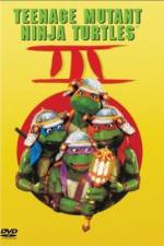 Watch Teenage Mutant Ninja Turtles III Vodly