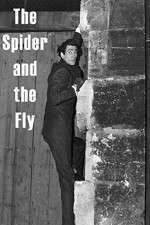 Watch The Spider and the Fly Vodly