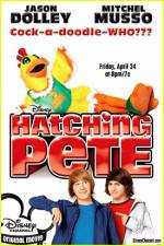 Watch Hatching Pete Vodly