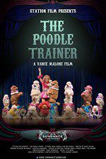 Watch The Poodle Trainer Vodly