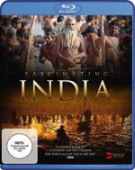 Watch Fascinating India 3D Vodly