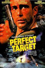 Watch Perfect Target Vodly