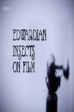 Watch Edwardian Insects on Film Vodly