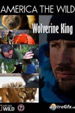 Watch National Geographic Wild America the Wild Wolverine King Vodly