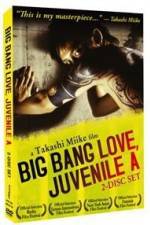 Watch Big Bang Love Juvenile A Vodly