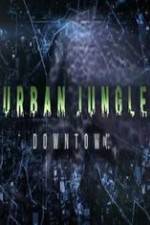 Watch National Geographic Wild Urban Jungle Downtown Vodly