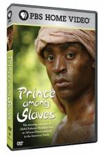 Watch Prince Among Slaves Vodly