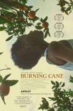 Watch Burning Cane Vodly