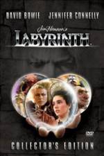 Watch Labyrinth Vodly