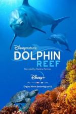 Watch Dolphin Reef Vodly