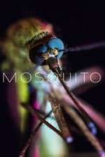 Watch Mosquito Vodly