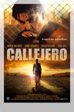 Watch Callejero Vodly