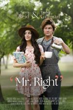Watch Mr. Right Vodly