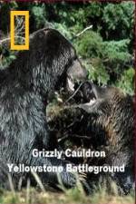 Watch National Geographic Grizzly Cauldron Vodly