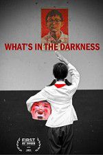 Watch What\'s in the Darkness Vodly