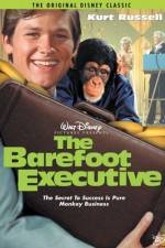 Watch The Barefoot Executive Vodly