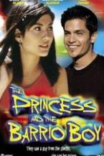 Watch The Princess & the Barrio Boy Vodly