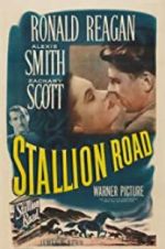 Watch Stallion Road Vodly