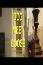 Watch Dog Meet Goose Vodly