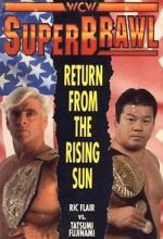 Watch WCW SuperBrawl I Vodly