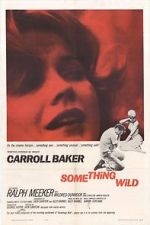 Watch Something Wild Vodly