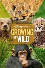 Watch Growing Up Wild Vodly